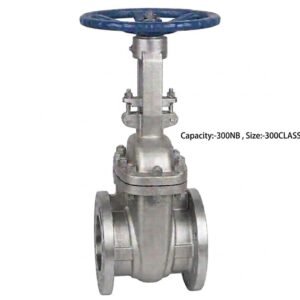 Advance Flo Valve 300NB WCB Gate Valve 300 Class