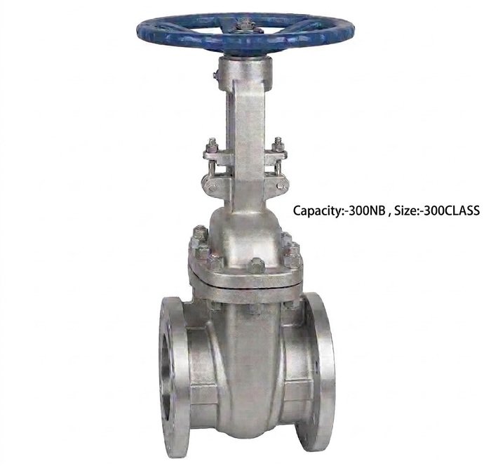 Advance Flo Valve 300NB WCB Gate Valve 300 Class